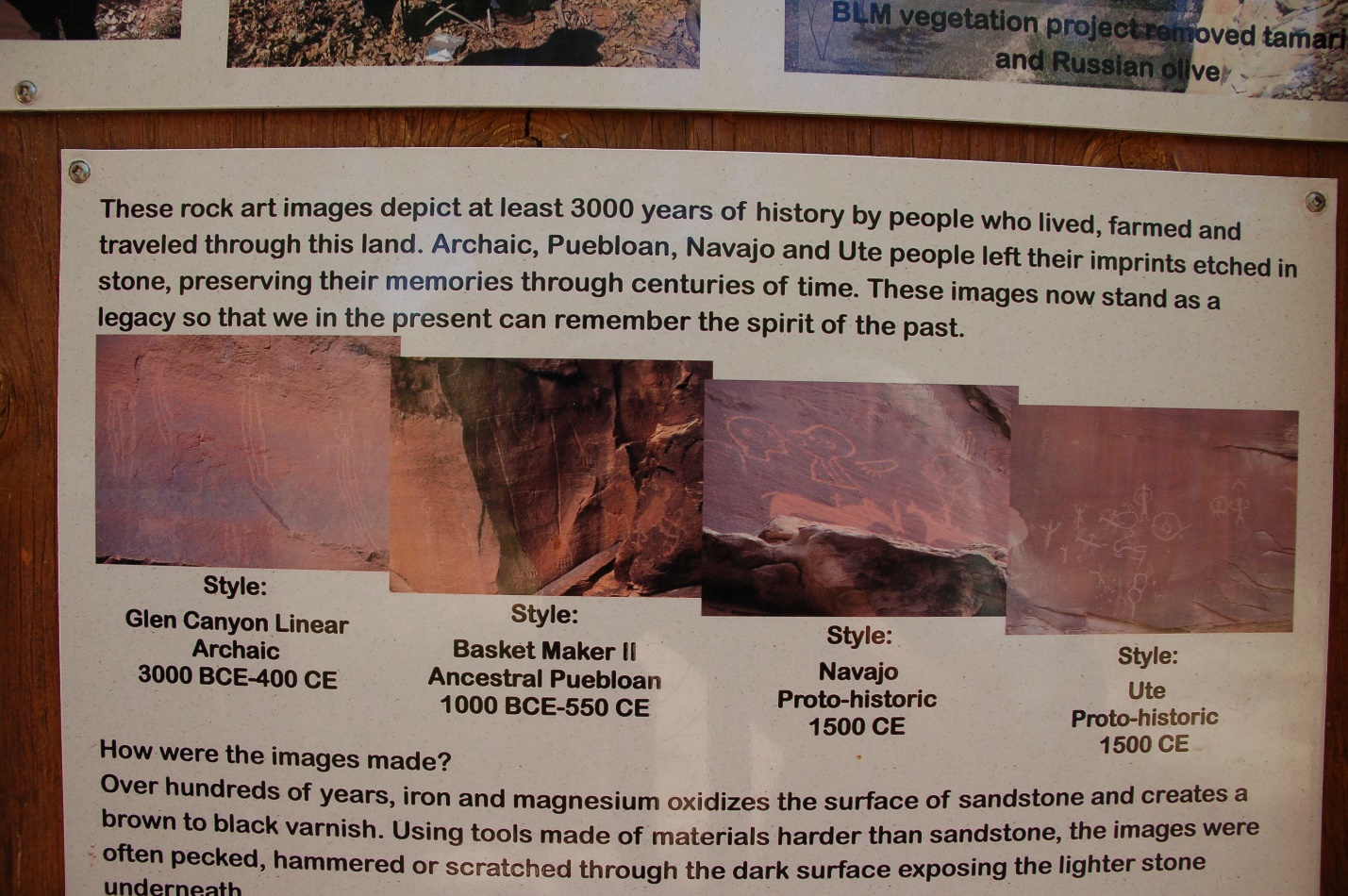 A close up of a newspaper

Description automatically generated